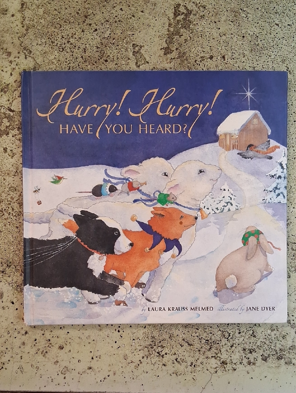 Hurry Have You Heard Laura Melmed Childrens Christmas Picture Book